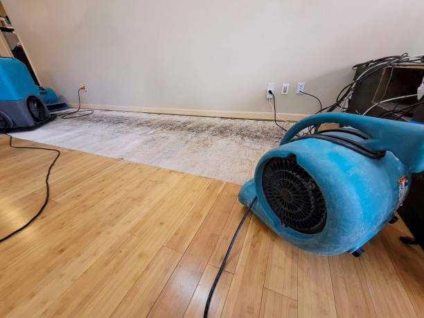 Professional Water Removal technician working in Minot, ME